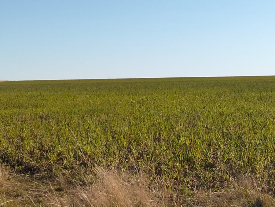 Commercial Property for Sale in Thaba Nchu Free State